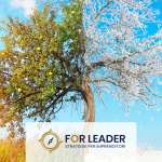 Visione da leader