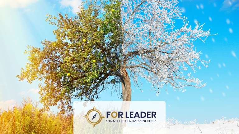 Visione da leader