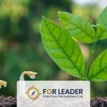 Come deve essere il leader del 2024