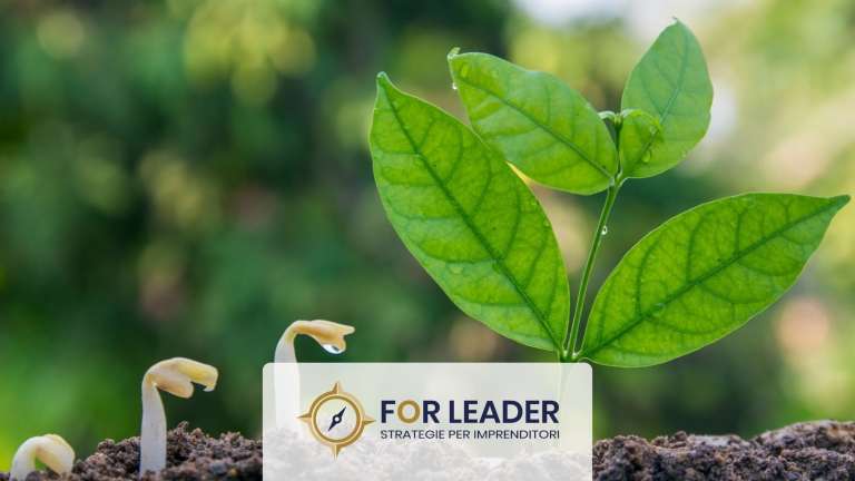 Come deve essere il leader del 2024