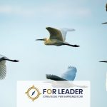 Il Leader Catalizzatore